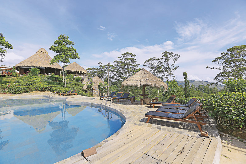 Urlaub im 98 Acres Resort & Spa - hier günstig online buchen